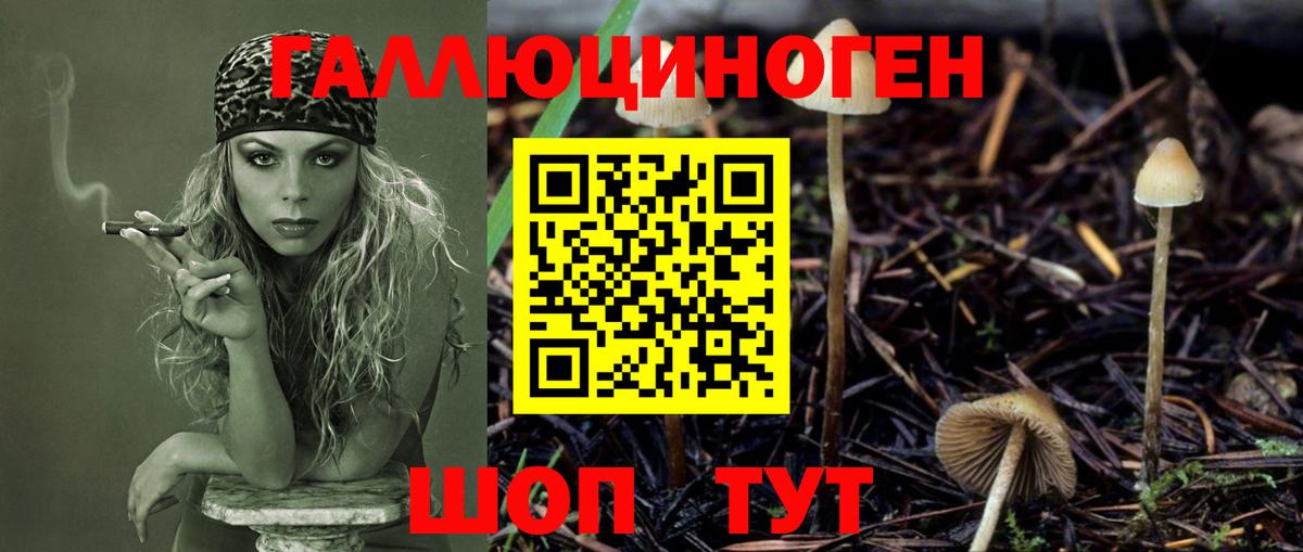 Сухой Лог  Галлюциногенные грибы ЛСД  Вход с VPN 