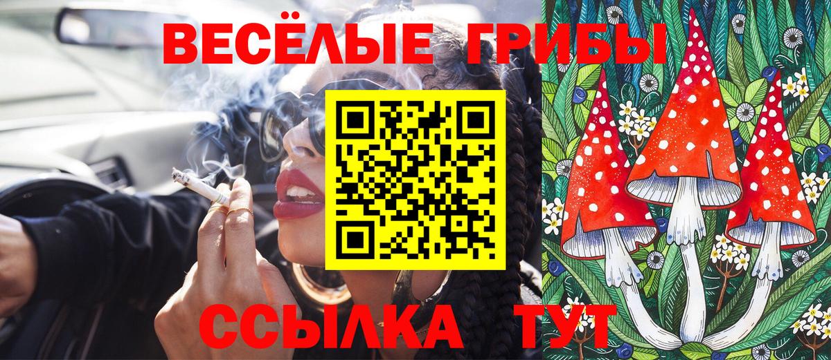 Псилоцибиновые грибы GOLDEN TEACHER Сухой Лог